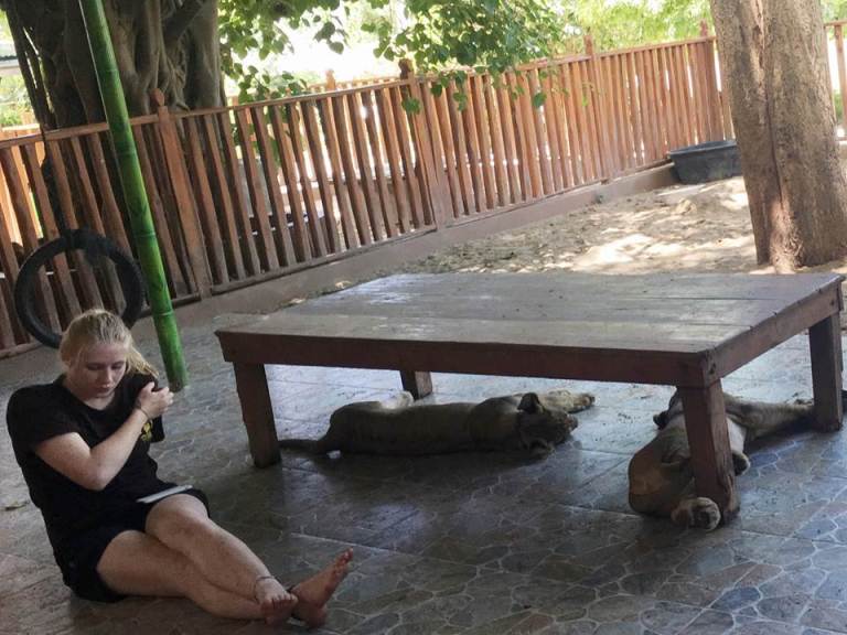 oasnzzn80zqbr0zqr6f-o