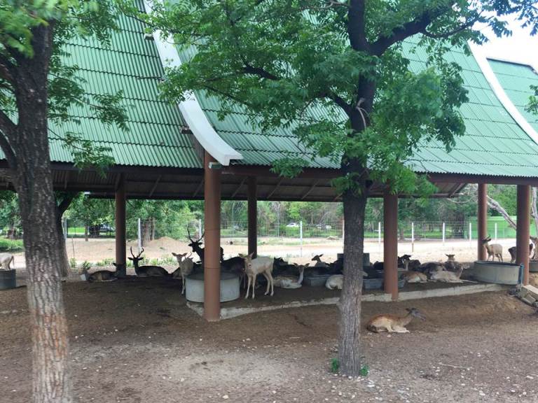 oasoyth1s5m9fhkww31-o