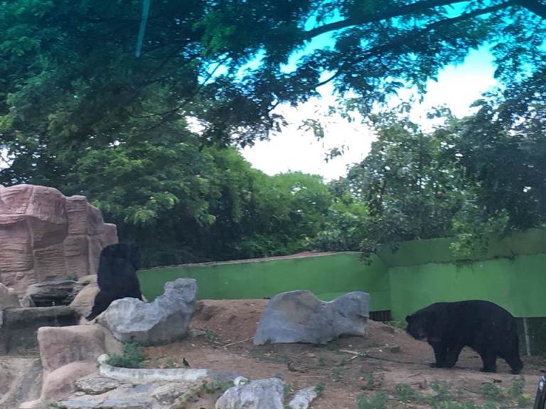 oasp0en7wwpe1n779er-o