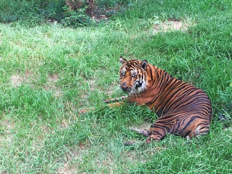 oasp3r4gnczoz6dctbt-o