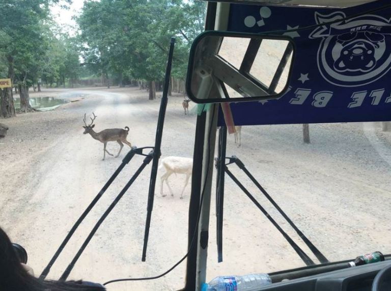 oaspuosisuw1vyzjgu6-o