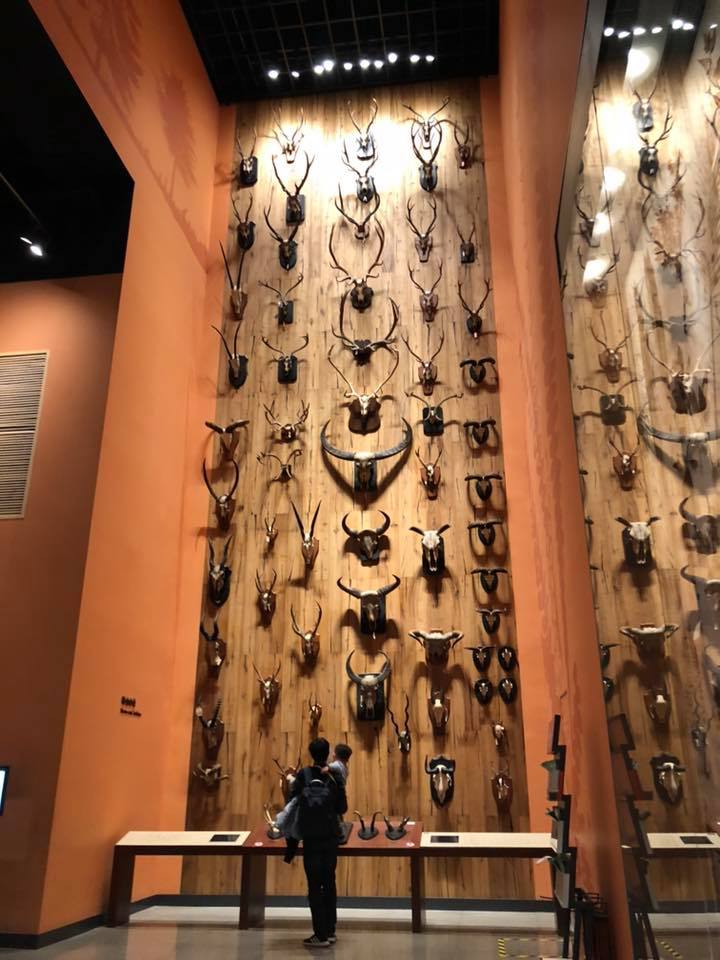 47576871_10156513415606201_7711644776746975232_n