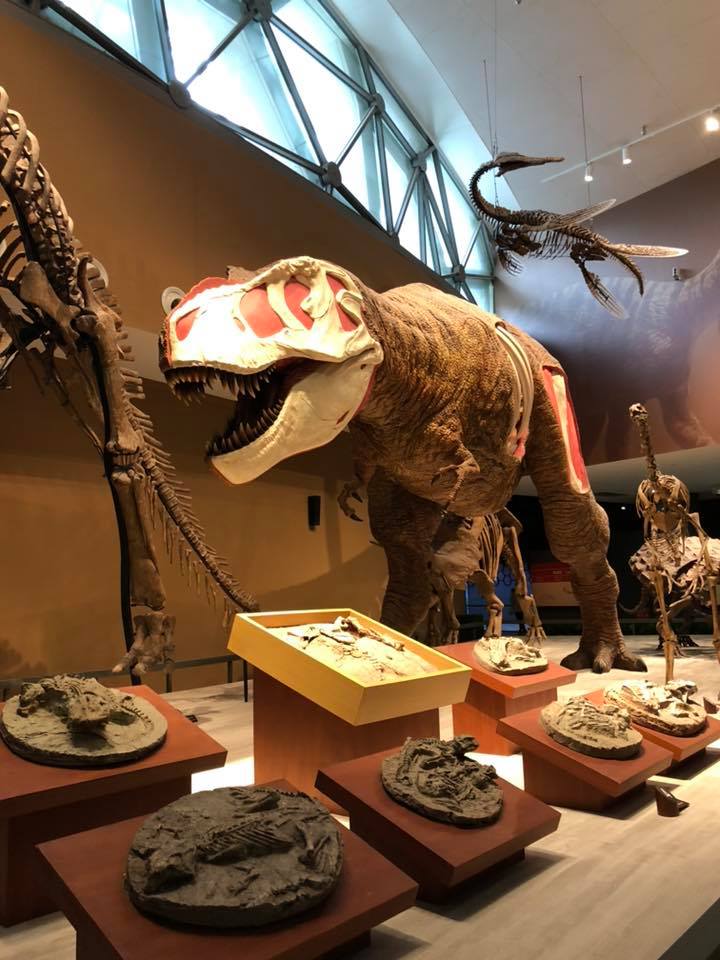 48372932_10156513415586201_3152322308102684672_n